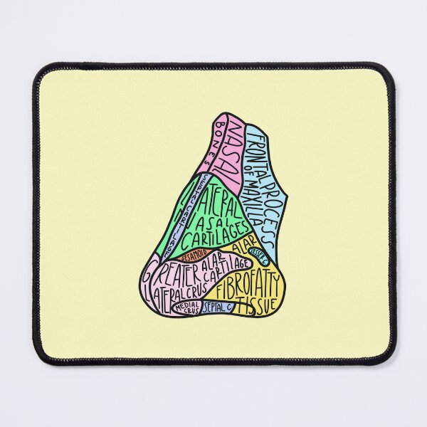 Item preview, Hand Drawn Labeled External Nose Anatomy  designed and sold by SofiaSava01.