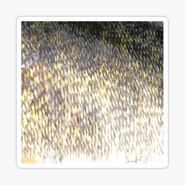 Vista previa del artículo con la obra «Patrón de escamas de pescado de piel de lucioperca (natural)», diseñado y vendido por CJRPics.