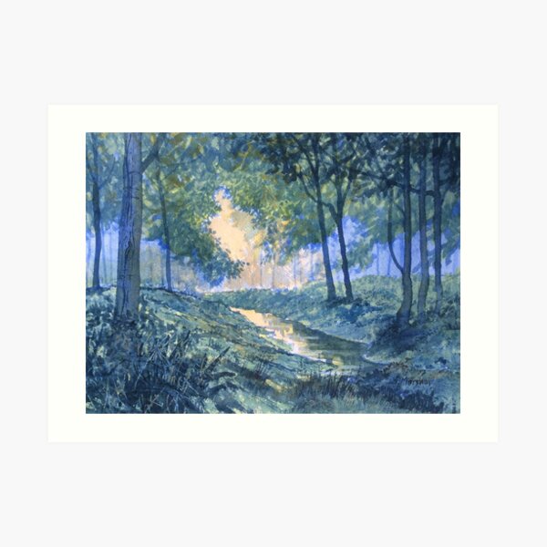 "Evening in Wykeham Forest" Art Print