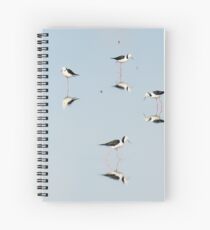 Stilts at Beeliar (close up) Spiral Notebook