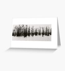 Cypress Trees Greeting Card