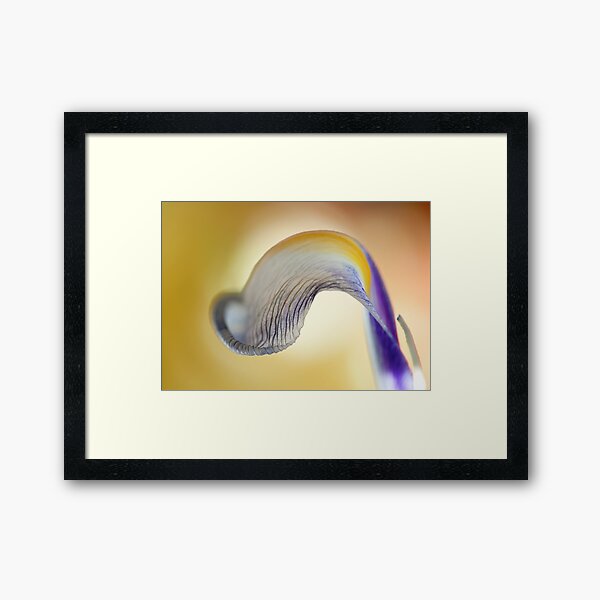 Quirl Framed Art Print