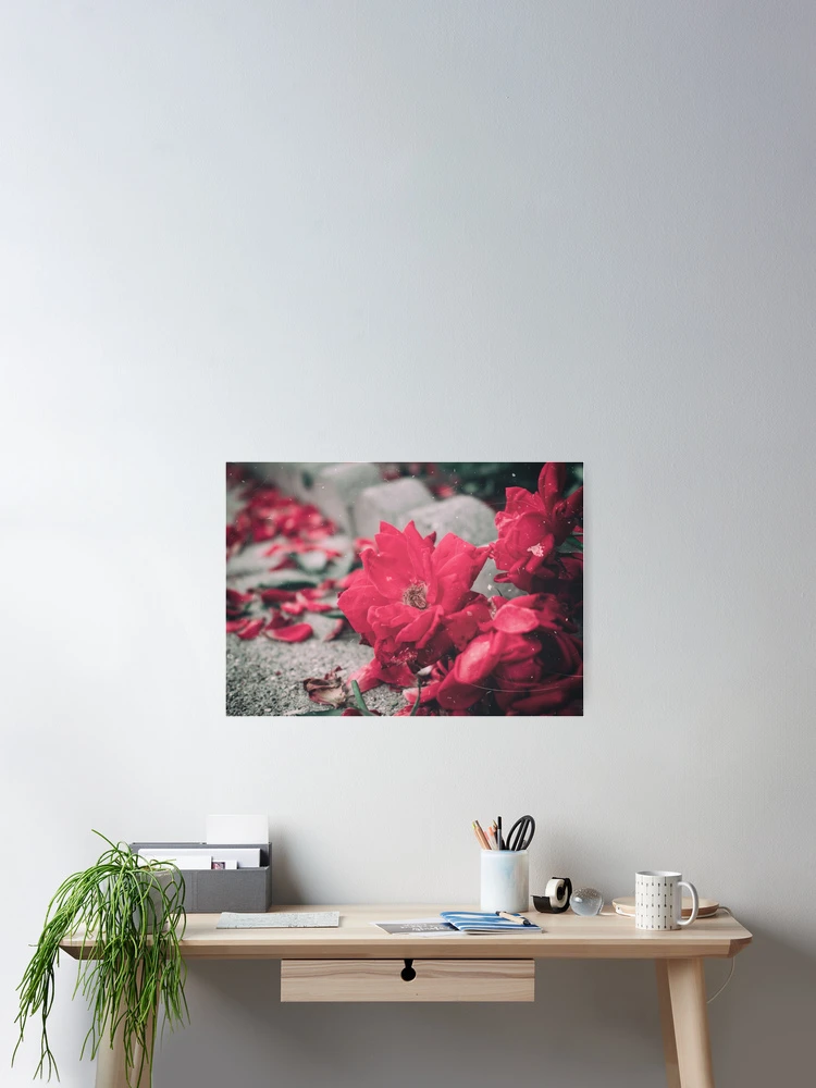 Thumbnail 2 of 3, Poster, Dying Roses designed and sold by pocketurtle.