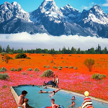 Artwork thumbnail, Swimming In Nature by _InTheGreenhouse