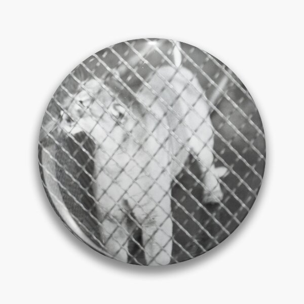 Item preview, Vintage Mountain Lion designed and sold by BGPickers.