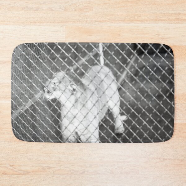 Item preview, Vintage Mountain Lion designed and sold by BGPickers.