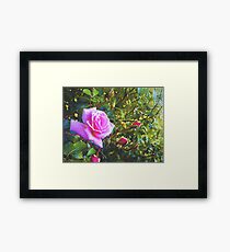 Born Framed Print
