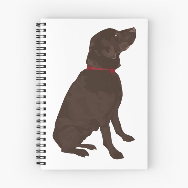 Aperçu de l'œuvre Labrador créée et vendue par Anne Cakebread.