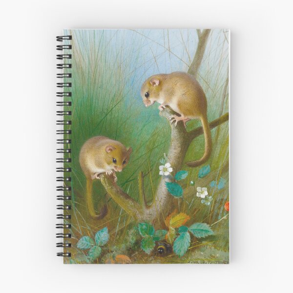 Item preview, Dormice Archibald Thorburn  designed and sold by Amanda1775.