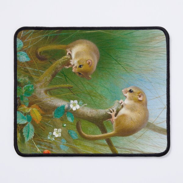 Item preview, Dormice Archibald Thorburn designed and sold by Amanda1775.