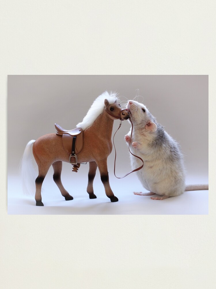 Alternate view of I love horses! Photographic Print