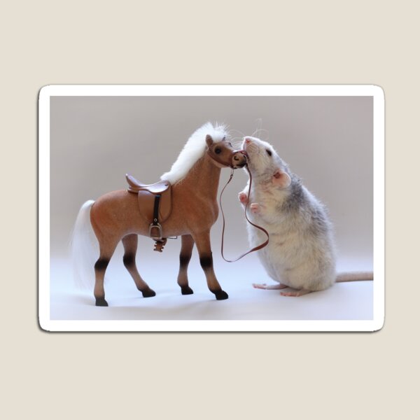 Aperçu de l'œuvre J'aime les chevaux! créée et vendue par Ellen van Deelen.