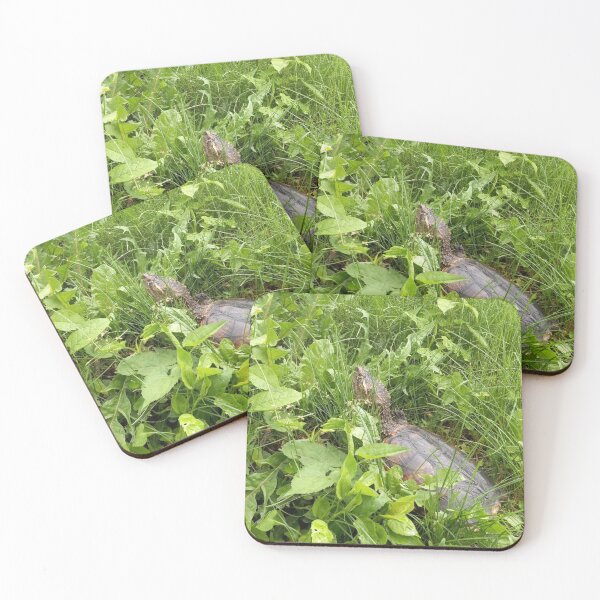 Item preview, Common Snapper designed and sold by BellsPainting.