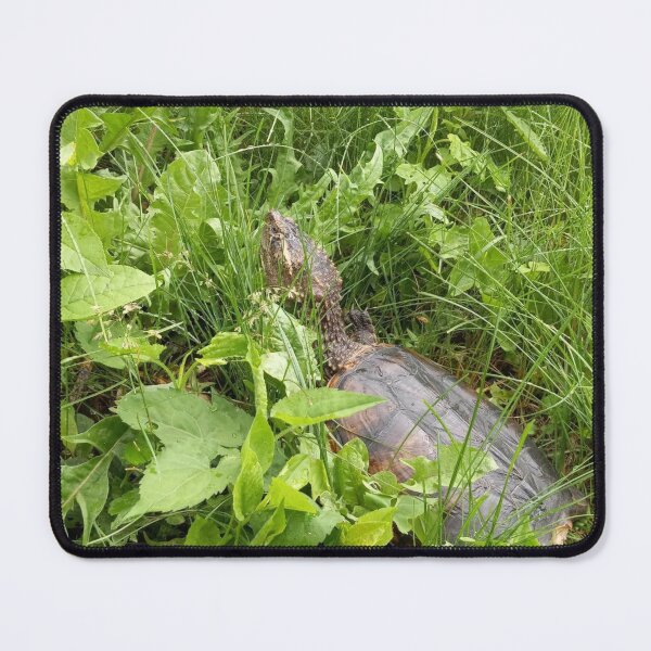 Item preview, Common Snapper designed and sold by BellsPainting.