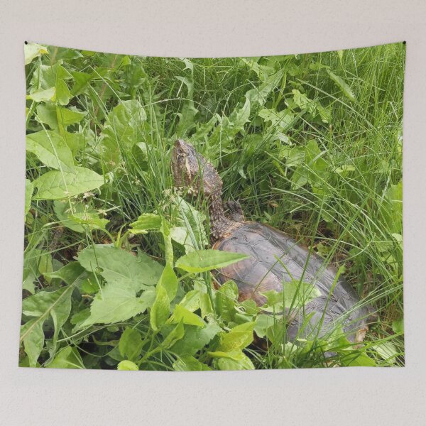 Item preview, Common Snapper designed and sold by BellsPainting.