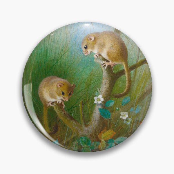 Item preview, Dormice Archibald Thorburn  designed and sold by Amanda1775.