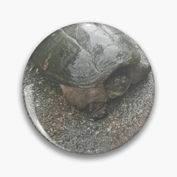 Item preview, Common Snapping Turtle designed and sold by BellsPainting.