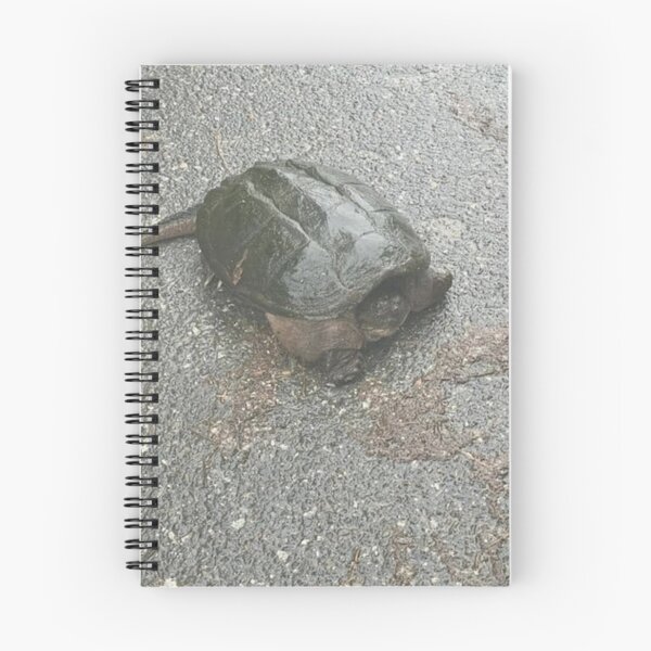 Item preview, Common Snapping Turtle designed and sold by BellsPainting.