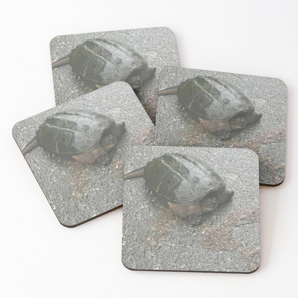 Item preview, Common Snapping Turtle designed and sold by BellsPainting.