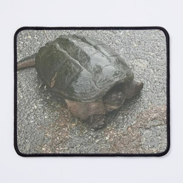 Item preview, Common Snapping Turtle designed and sold by BellsPainting.