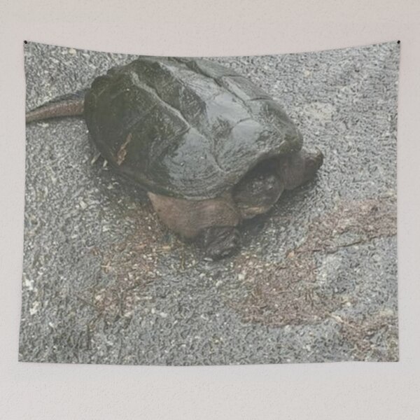 Item preview, Common Snapping Turtle designed and sold by BellsPainting.