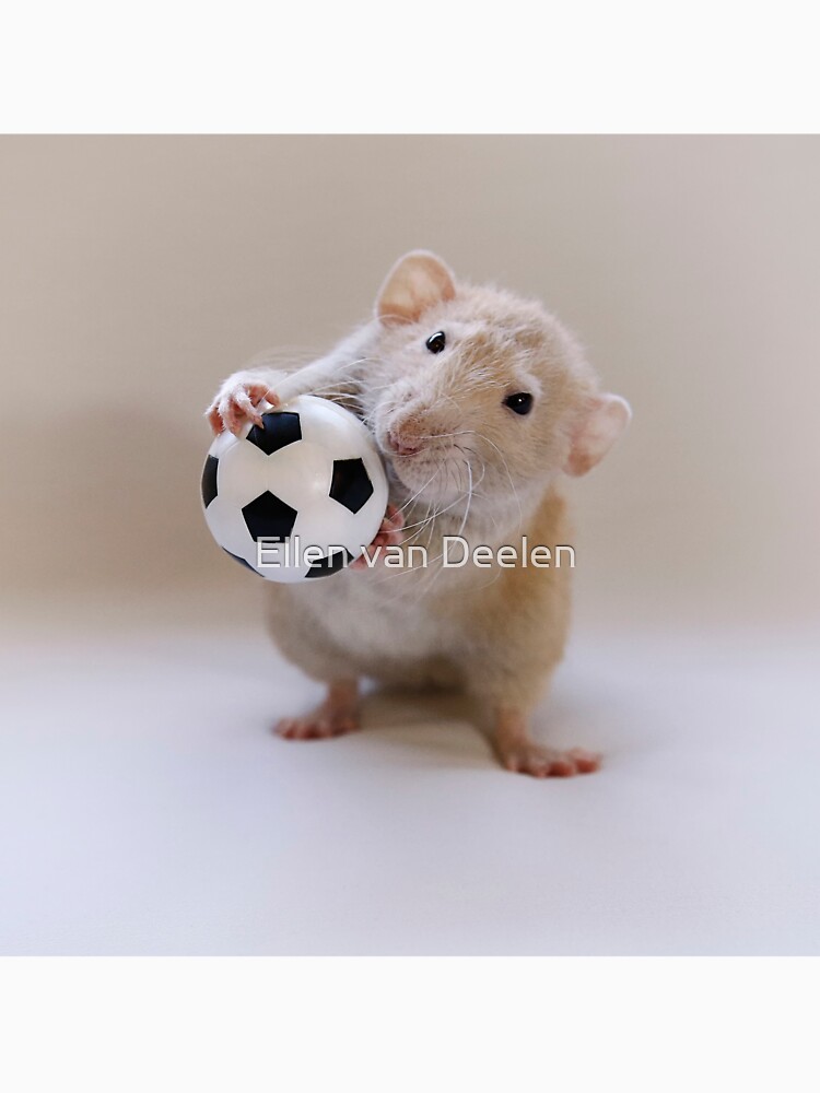 I love to play! by Ellen