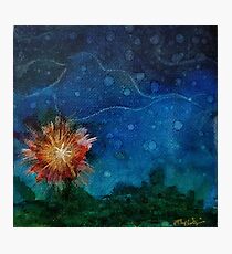 sea urchin Photographic Print