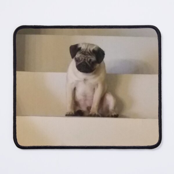 Item preview, I got up here now what? designed and sold by JLFInspArt.