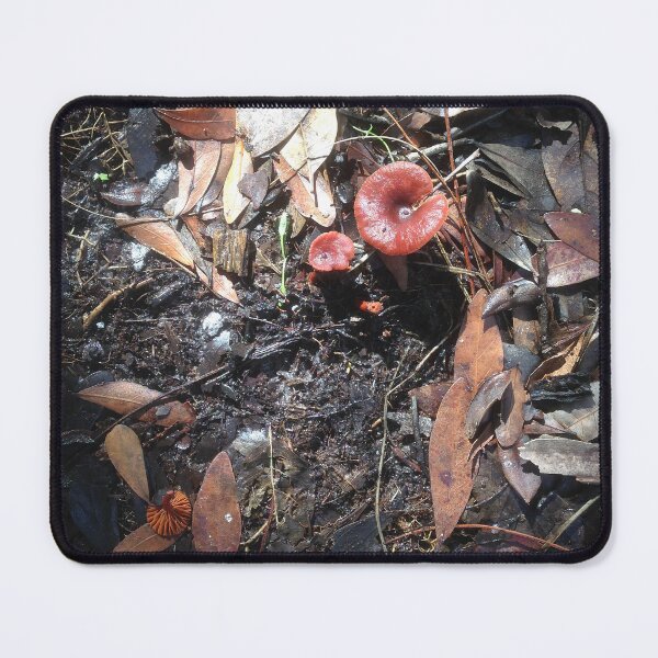 Item preview, Forest Floor Myakka designed and sold by Jeffrey Mask.