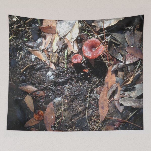 Item preview, Forest Floor Myakka designed and sold by Jeffrey Mask.