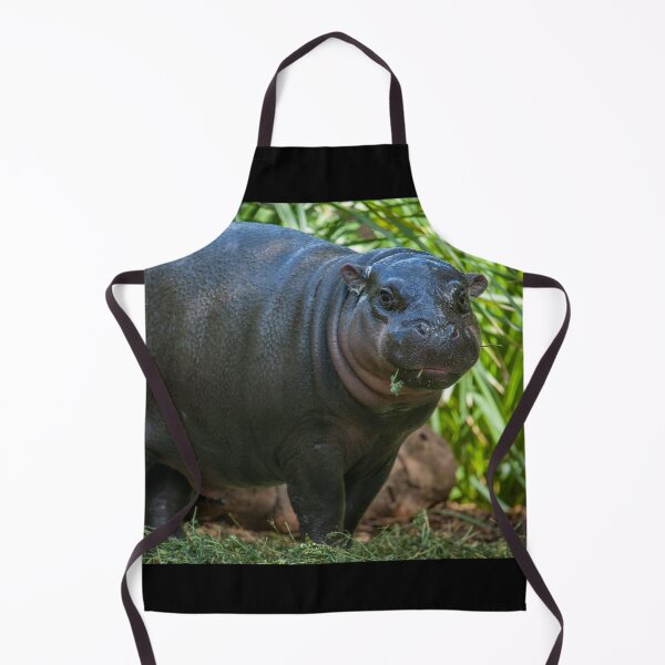 Item preview, Baby Hippo Lunch II designed and sold by Daniela Pintimalli.