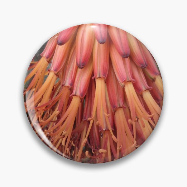 Item preview, Bitter Aloe designed and sold by The Botanical Jason.