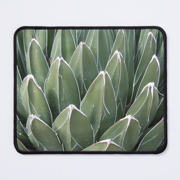 Item preview,  Queen Victoria Agave designed and sold by The Botanical Jason.
