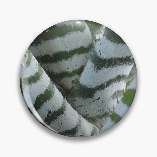 Item preview, Zebra Bromeliad designed and sold by The Botanical Jason.