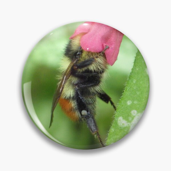 Item preview, Bumblebee Pollinating Pulmonaria designed and sold by The Botanical Jason.