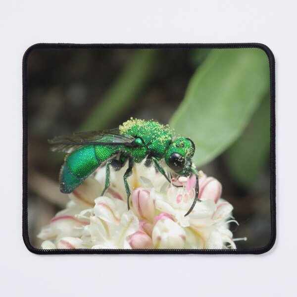 Item preview, Emerald Cuckoo Wasp designed and sold by The Botanical Jason.