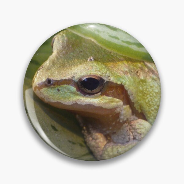 Item preview, Pacific Tree Frog designed and sold by The Botanical Jason.