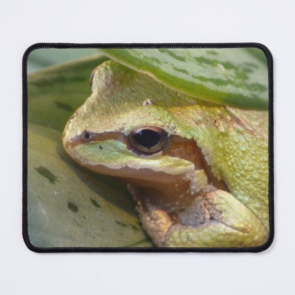 Item preview, Pacific Tree Frog designed and sold by The Botanical Jason.