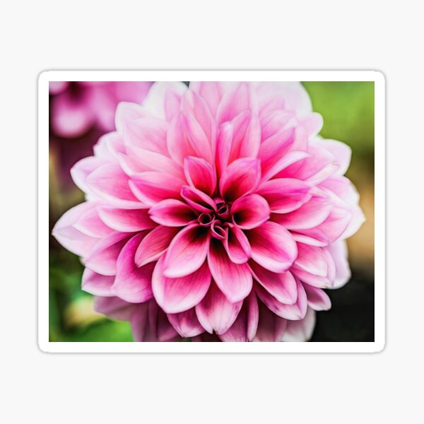 Sublimity of Nature Sticker