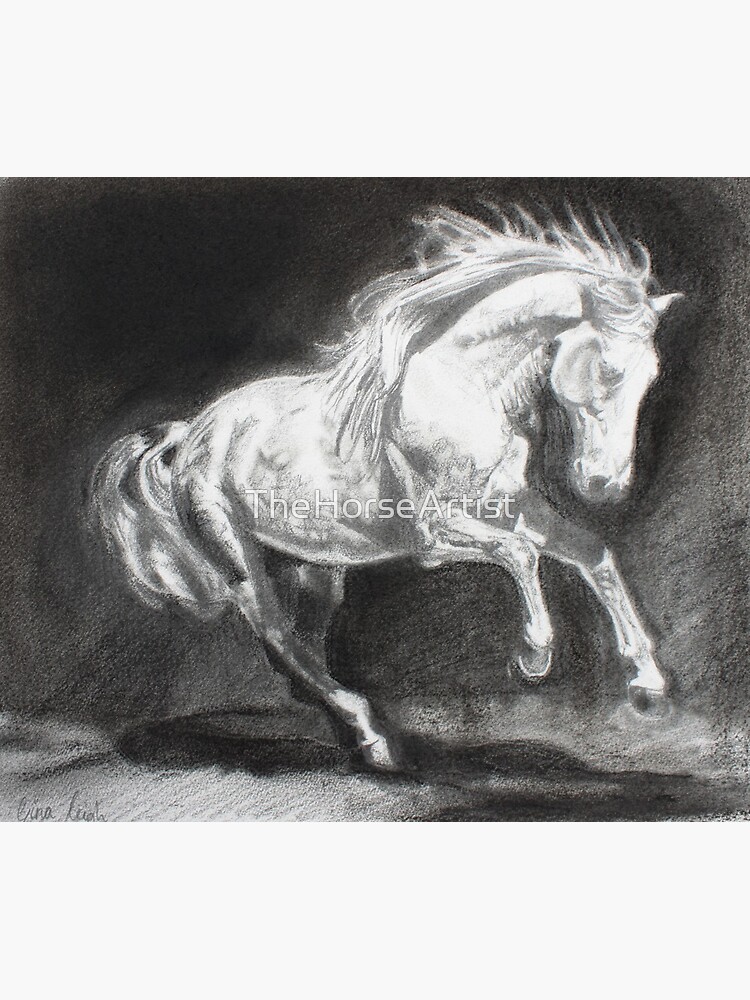 Charcoal Drawing of a White Horse 