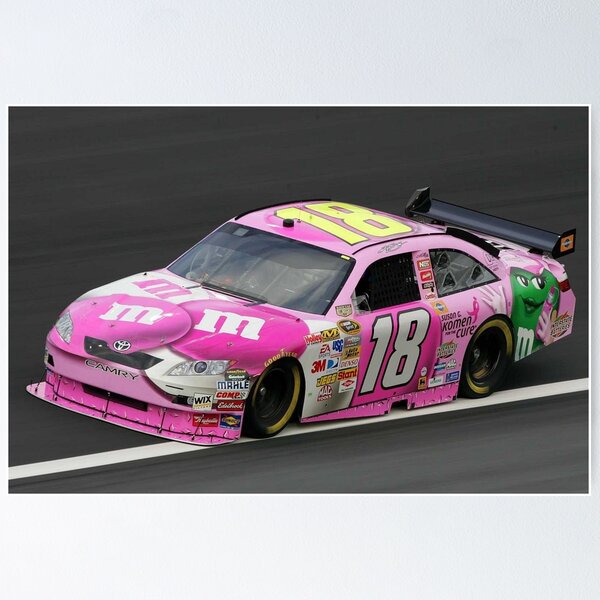 kyle busch racing