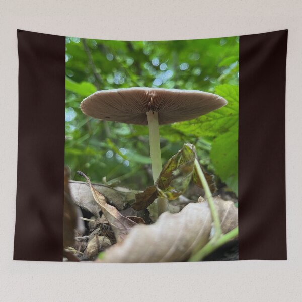 Item preview, Cappy designed and sold by MischievousLane.