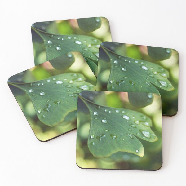Item preview, Maidenhair designed and sold by The Botanical Jason.