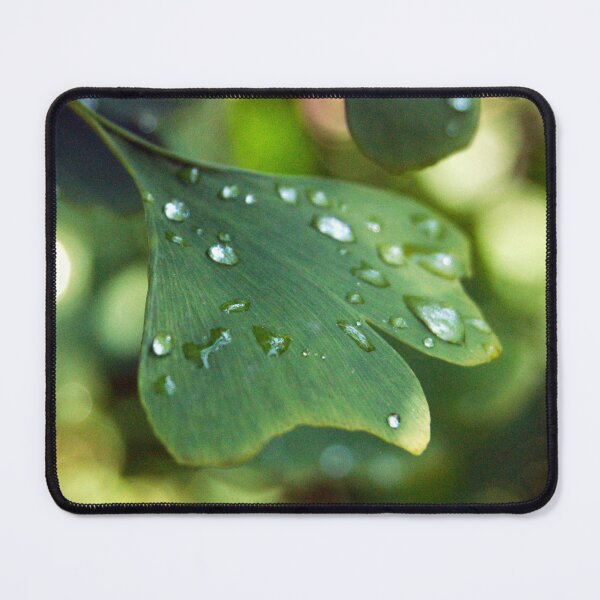 Item preview, Maidenhair designed and sold by The Botanical Jason.