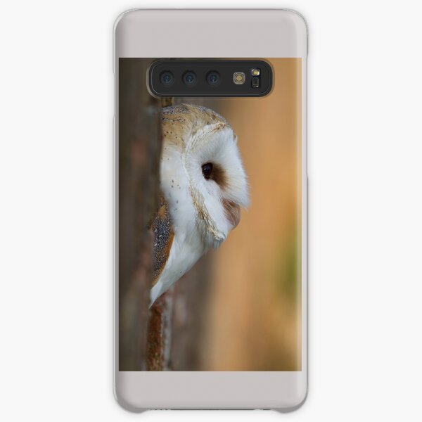 Barn Owl Triptych Samsung Galaxy Snap Case