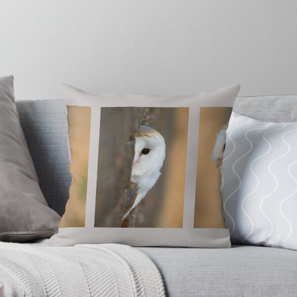 Item preview, Barn Owl Triptych designed and sold by Val Saxby.