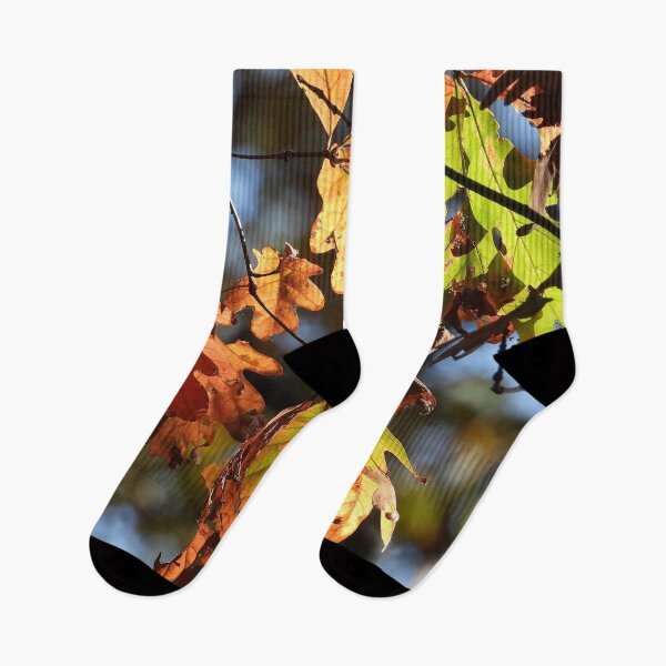 Item preview, Autumn Leaves designed and sold by Jeffrey Mask.