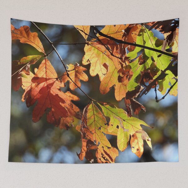 Item preview, Autumn Leaves designed and sold by Jeffrey Mask.