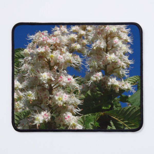 Item preview, Horse Chestnut Flowers designed and sold by wiggyofipswich.