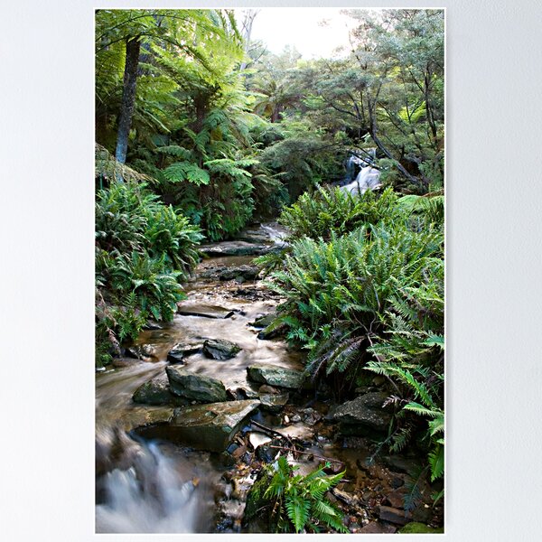 Artikelvorschau, Leura Cascades in The Blue Montains entworfen und verkauft von Ben Shaw.